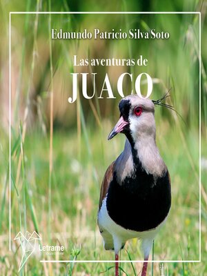 cover image of Las aventuras de Juaco